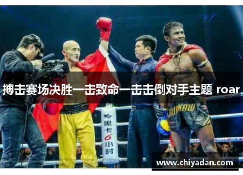 搏击赛场决胜一击致命一击击倒对手主题 roar