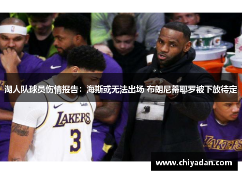 湖人队球员伤情报告：海斯或无法出场 布朗尼蒂耶罗被下放待定